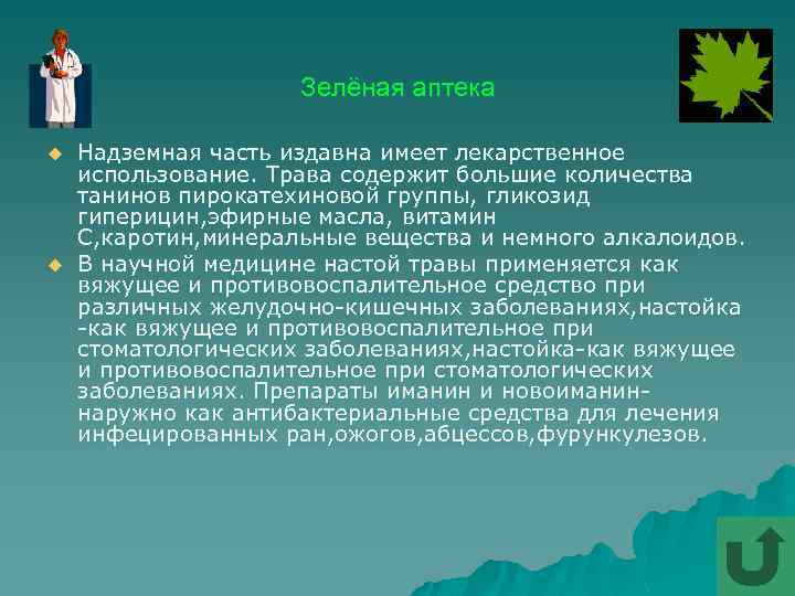 Зелёная аптека u u Надземная часть издавна имеет лекарственное использование. Трава содержит большие количества