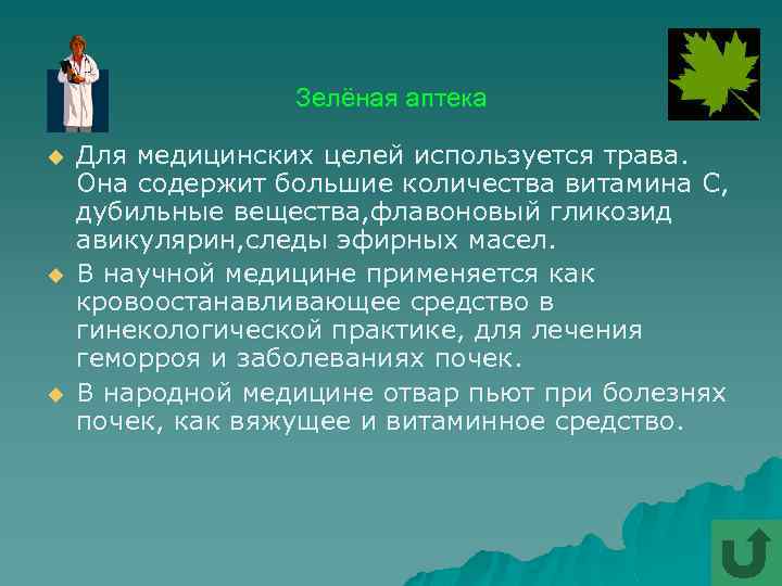 Зелёная аптека u u u Для медицинских целей используется трава. Она содержит большие количества