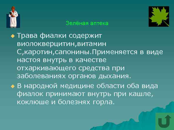 Зелёная аптека Трава фиалки содержит виолокверцитин, витамин С, каротин, сапонины. Применяется в виде настоя