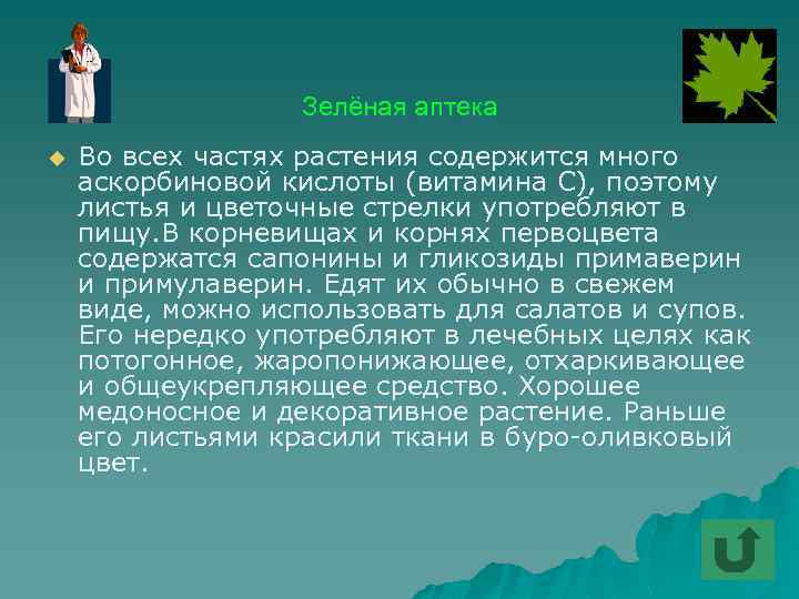 Зелёная аптека u Во всех частях растения содержится много аскорбиновой кислоты (витамина С), поэтому