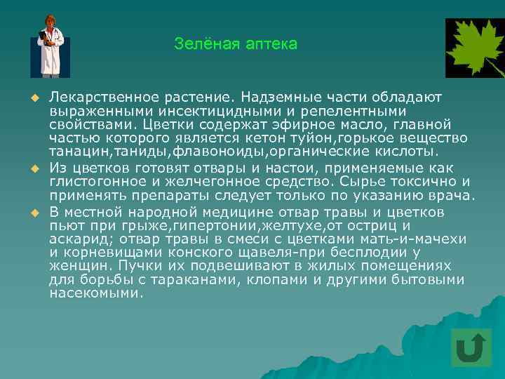 Зелёная аптека u u u Лекарственное растение. Надземные части обладают выраженными инсектицидными и репелентными