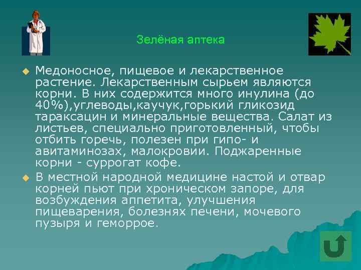 Зелёная аптека u u Медоносное, пищевое и лекарственное растение. Лекарственным сырьем являются корни. В