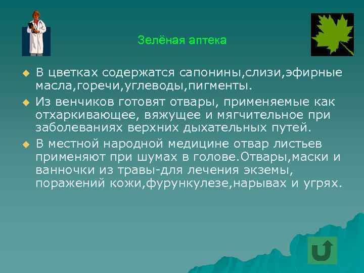 Зелёная аптека u u u В цветках содержатся сапонины, слизи, эфирные масла, горечи, углеводы,