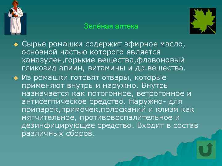 Зелёная аптека u u Сырье ромашки содержит эфирное масло, основной частью которого является хамазулен,