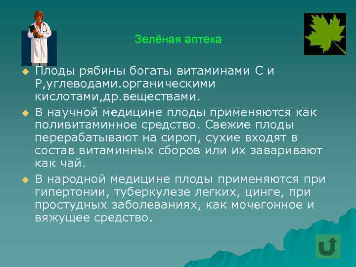 Зелёная аптека u u u Плоды рябины богаты витаминами С и Р, углеводами. органическими