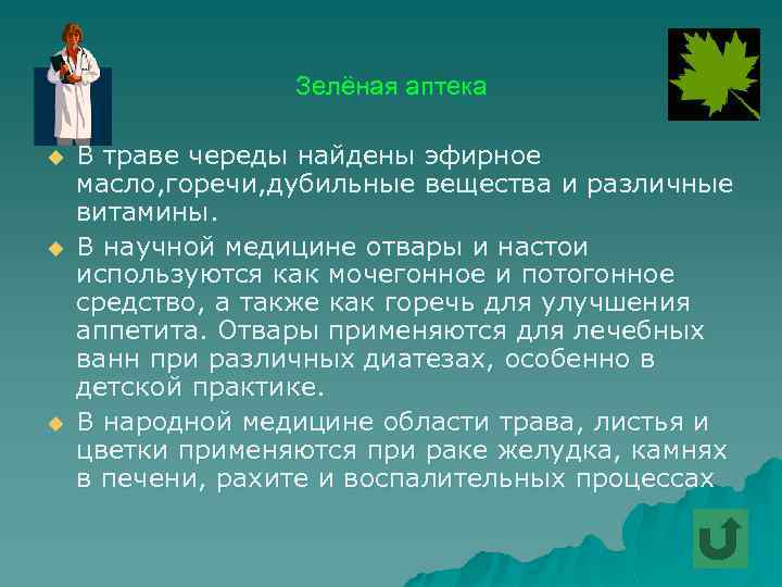 Зелёная аптека u u u В траве череды найдены эфирное масло, горечи, дубильные вещества