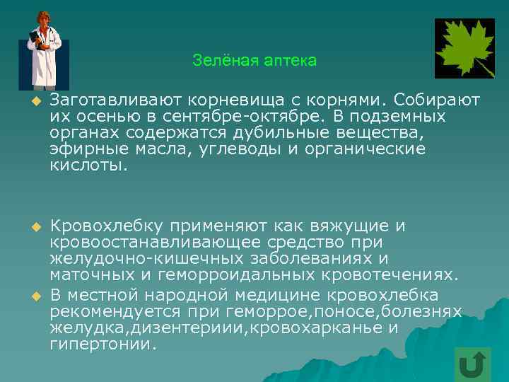 Зелёная аптека u Заготавливают корневища с корнями. Собирают их осенью в сентябре-октябре. В подземных