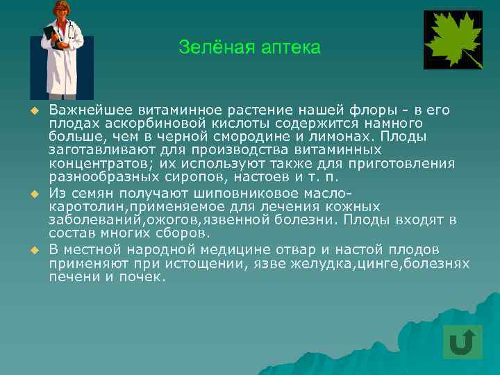 Зелёная аптека u u u Важнейшее витаминное растение нашей флоры - в его плодах