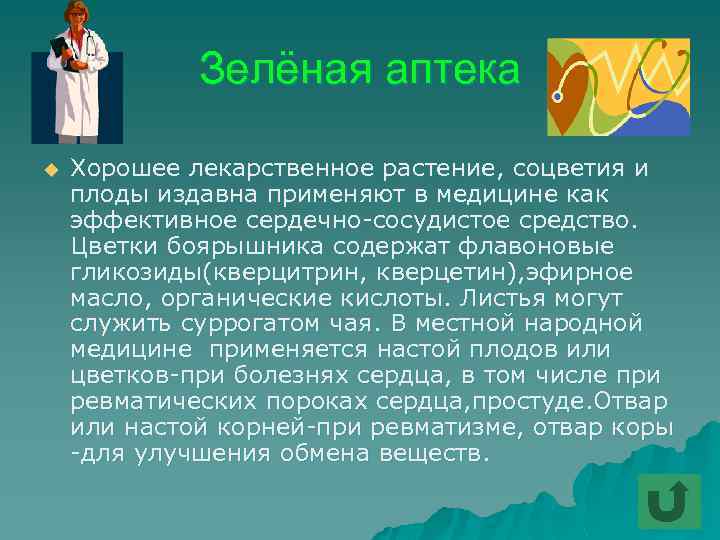 Зелёная аптека u Хорошее лекарственное растение, соцветия и плоды издавна применяют в медицине как