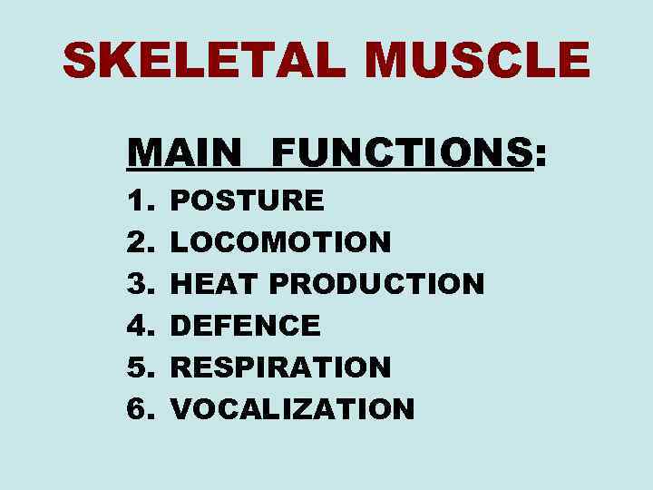 SKELETAL MUSCLE MAIN FUNCTIONS: 1. 2. 3. 4. 5. 6. POSTURE LOCOMOTION HEAT PRODUCTION