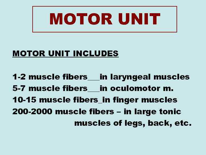 MOTOR UNIT INCLUDES 1 -2 muscle fibers___in laryngeal muscles 5 -7 muscle fibers___in oculomotor