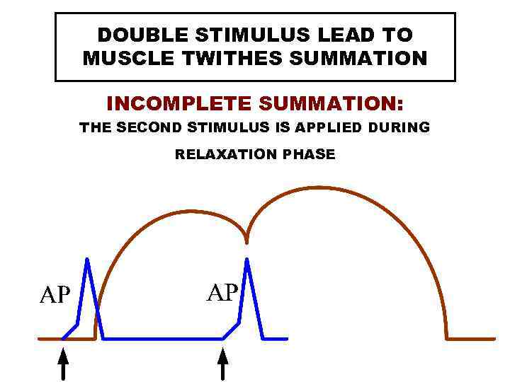 DOUBLE STIMULUS LEAD TO MUSCLE TWITHES SUMMATION INCOMPLETE SUMMATION: THE SECOND STIMULUS IS APPLIED