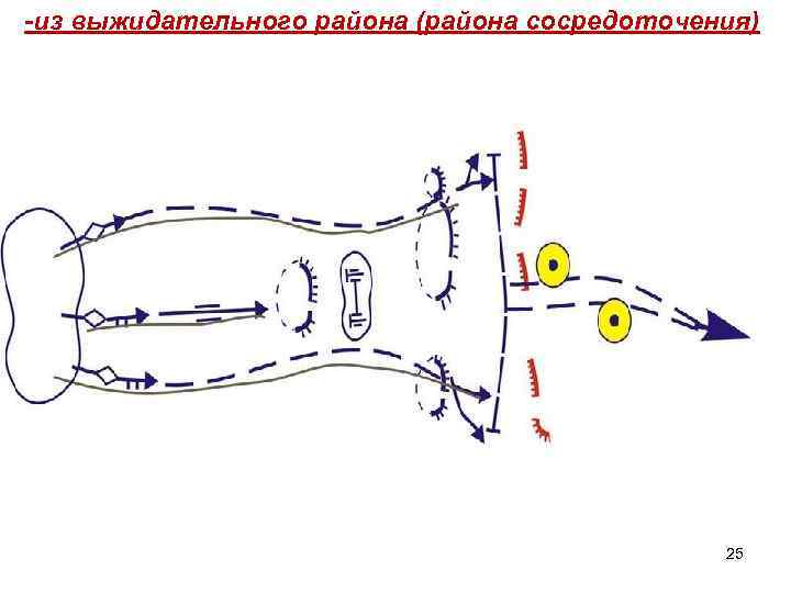 -из выжидательного района (района сосредоточения) 25 