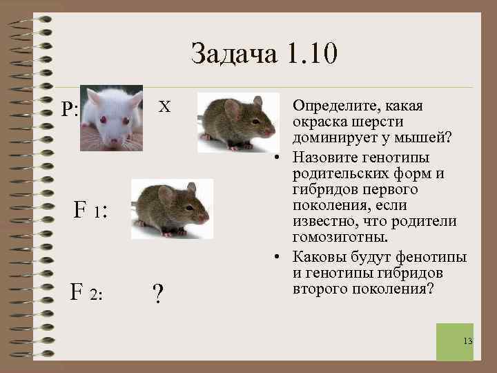 Задача 1. 10 Р: Х F 1: F 2: ? • Определите, какая окраска