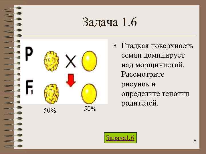 Задача 1. 6 50% • Гладкая поверхность семян доминирует над морщинистой. Рассмотрите рисунок и