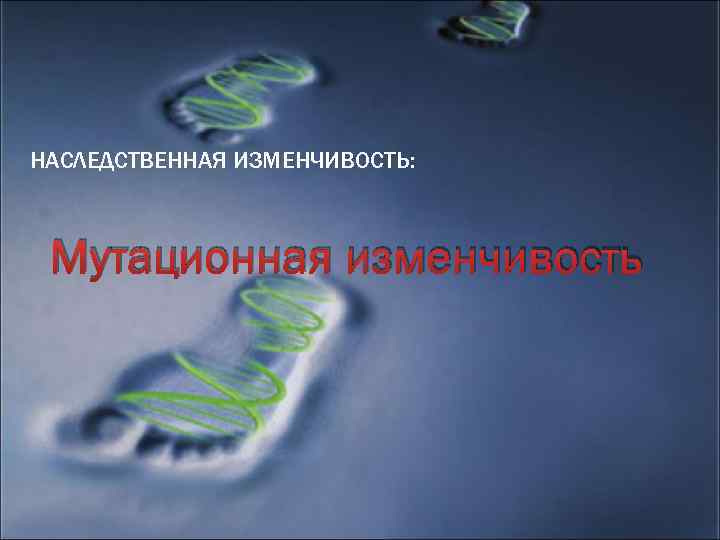 НАСЛЕДСТВЕННАЯ ИЗМЕНЧИВОСТЬ: Мутационная изменчивость 