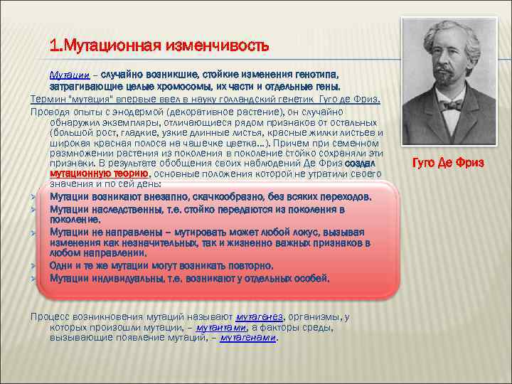 1. Мутационная изменчивость Мутации – случайно возникшие, стойкие изменения генотипа, затрагивающие целые хромосомы, их
