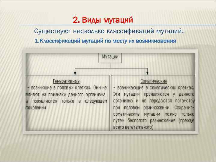 2. Виды мутаций Существуют несколько классификаций мутаций. 