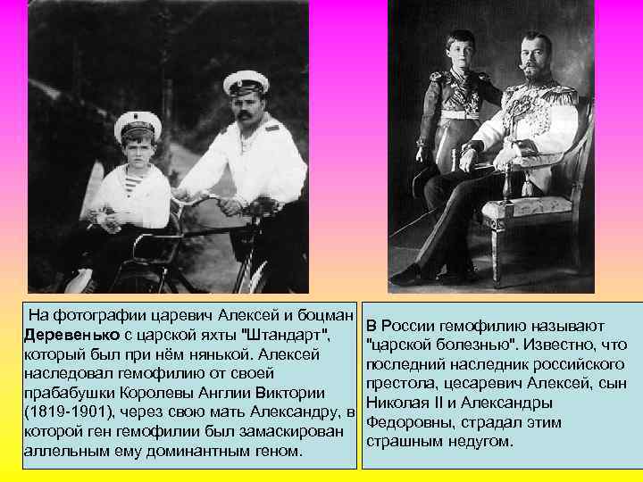 На фотографии царевич Алексей и боцман Деревенько с царской яхты 