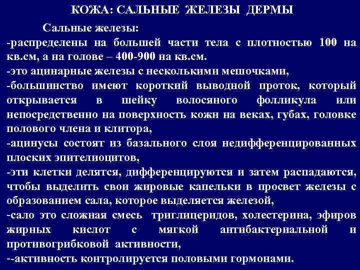 КОЖА: САЛЬНЫЕ ЖЕЛЕЗЫ ДЕРМЫ Сальные железы: -распределены на большей части тела с плотностью 100
