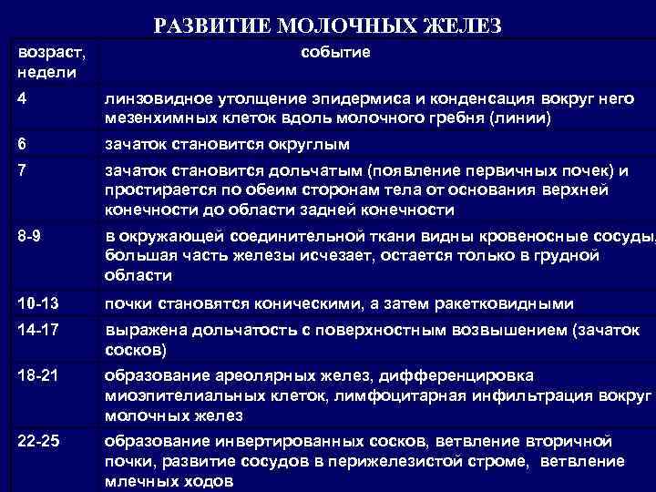 РАЗВИТИЕ МОЛОЧНЫХ ЖЕЛЕЗ возраст, недели событие 4 линзовидное утолщение эпидермиса и конденсация вокруг него