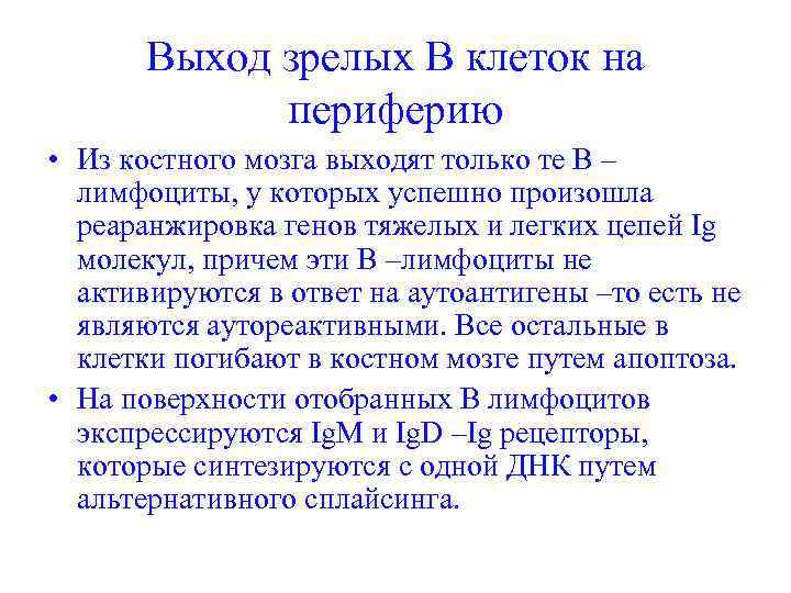 Выход зрелых В клеток на периферию • Из костного мозга выходят только те В