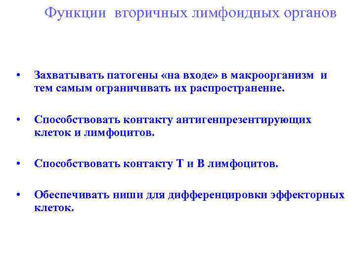 Функции вторичных лимфоидных органов • Захватывать патогены «на входе» в макроорганизм и тем самым