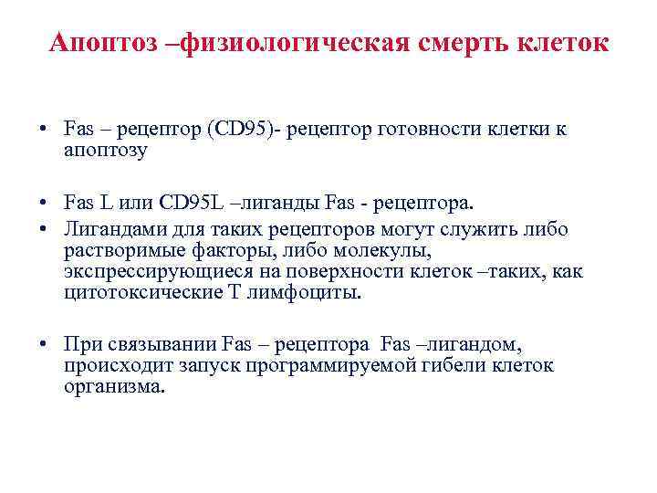 Апоптоз –физиологическая смерть клеток • Fas – рецептор (CD 95)- рецептор готовности клетки к