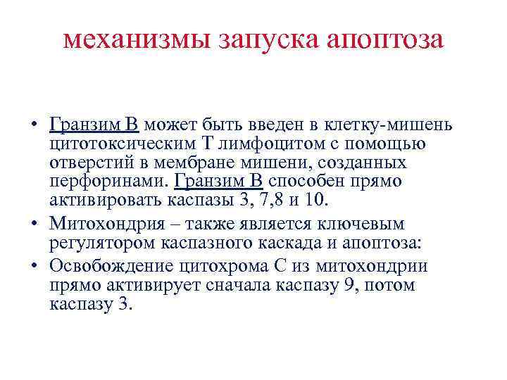 механизмы запуска апоптоза • Гранзим B может быть введен в клетку-мишень цитотоксическим Т лимфоцитом