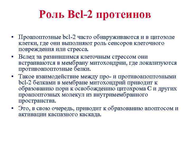 Роль Bcl-2 протеинов • Проапоптозные bcl-2 часто обнаруживаются и в цитозоле клетки, где они