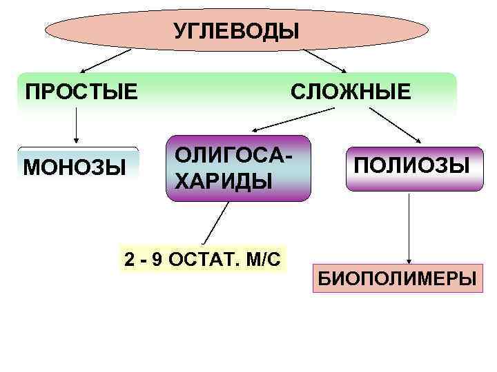 УГЛЕВОДЫ ПРОСТЫЕ МОНОЗЫ СЛОЖНЫЕ ОЛИГОСАХАРИДЫ 2 - 9 ОСТАТ. М/С ПОЛИОЗЫ БИОПОЛИМЕРЫ 