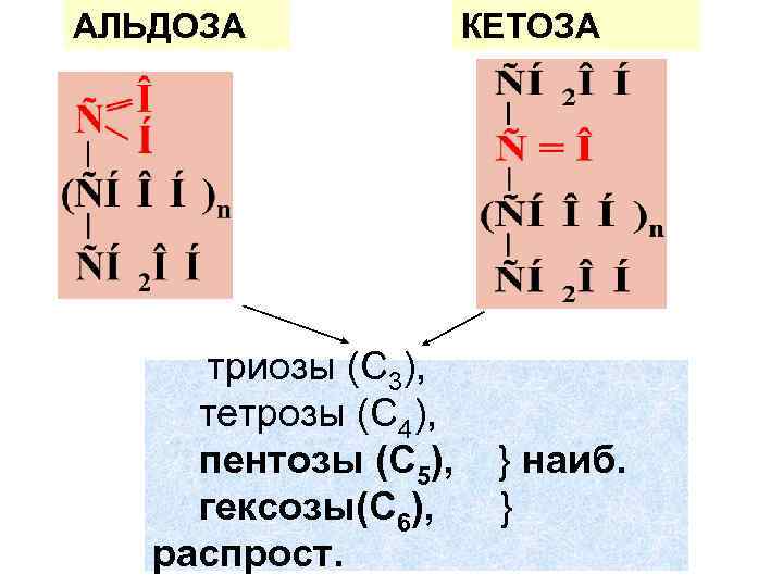 АЛЬДОЗА триозы (С 3), тетрозы (С 4), пентозы (С 5), гексозы(C 6), распрост. КЕТОЗА
