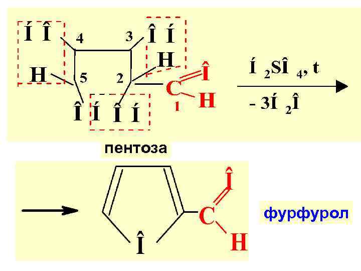 пентоза фурфурол 