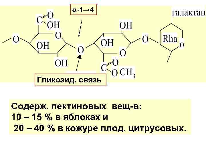  -1→ 4 Гликозид. связь Содерж. пектиновых вещ-в: 10 – 15 % в яблоках
