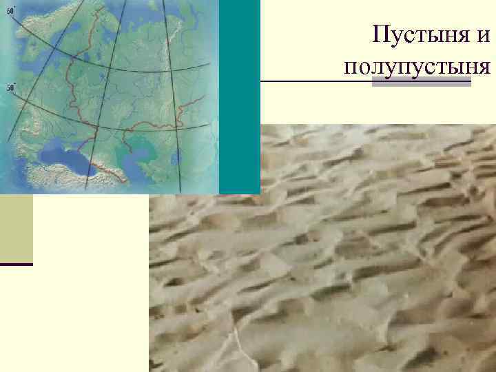 Пустыня и полупустыня 