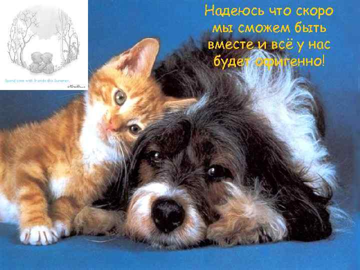 Надеюсь что скоро мы сможем быть вместе и всё у нас будет офигенно! 