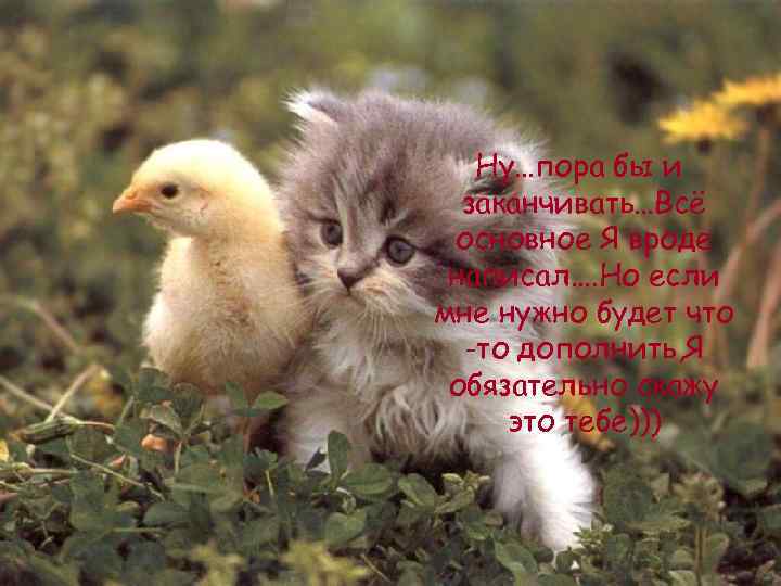 Ну…пора бы и заканчивать…Всё основное Я вроде написал…. Но если мне нужно будет что