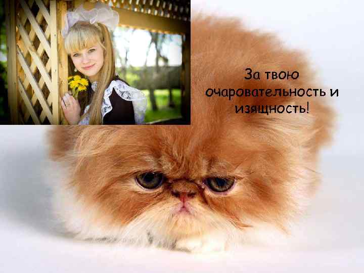 За твою очаровательность и изящность! 