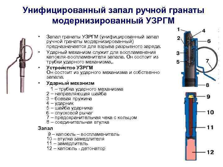 Унифицированный запал ручной гранаты модернизированный УЗРГМ • Запал гранаты УЗРГМ (унифицированный запал ручной гранаты