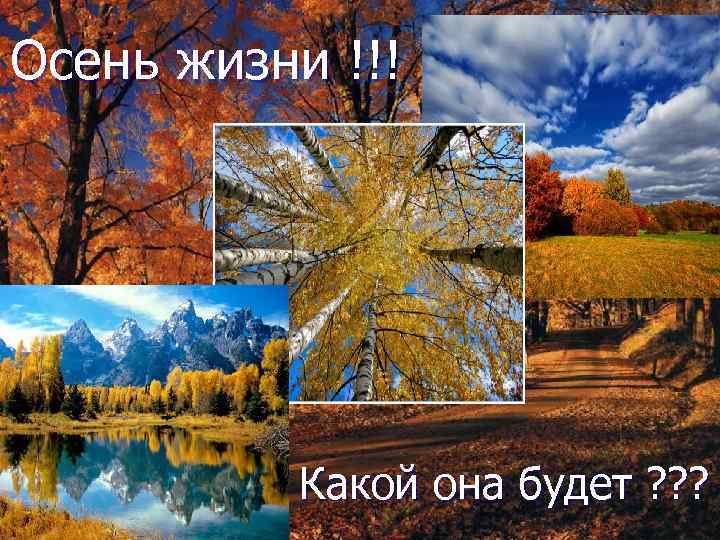 Осень жизни !!! Какой она будет ? ? ? 