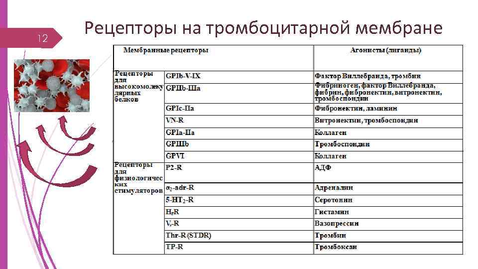 12 Рецепторы на тромбоцитарной мембране 