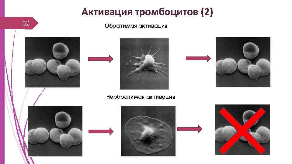 Активация тромбоцитов (2) 32 Обратимая активация Необратимая активация 