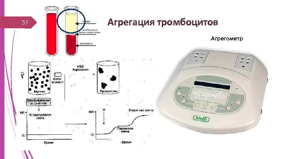 37 Агрегация тромбоцитов Агрегометр 