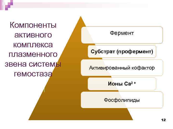 Компоненты активного комплекса плазменного звена системы гемостаза Фермент Субстрат (профермент) Активированный кофактор Ионы Са