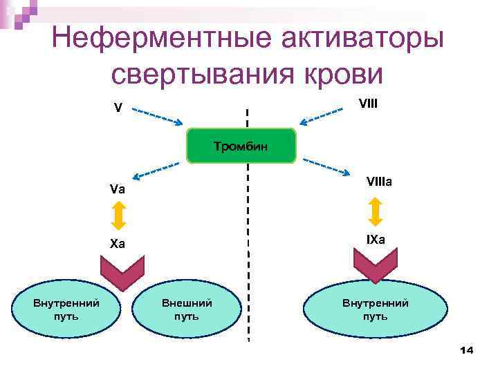 Неферментные активаторы свертывания крови VIII V Тромбин VIIIa Va IXa Xa Внутренний путь Внешний