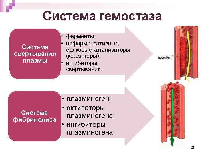 Система гемостаза • ферменты; • неферментативные Система белковые катализаторы свертывания (кофакторы); плазмы • ингибиторы