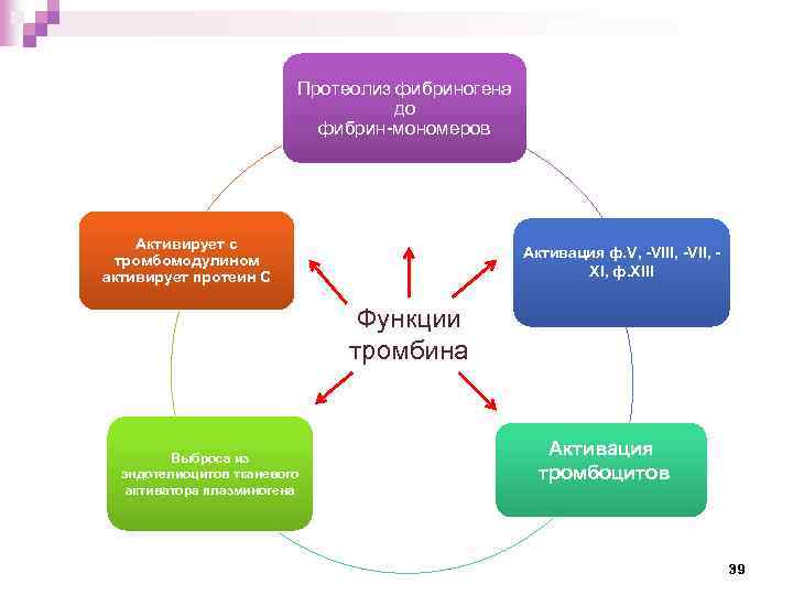 Протеолиз фибриногена до фибрин-мономеров Активирует с тромбомодулином активирует протеин С Активация ф. V, -VIII,