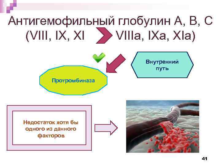 Антигемофильный глобулин А, В, С (VIII, IX, XI VIIIа, IXа, XIа) Внутренний путь Протромбиназа