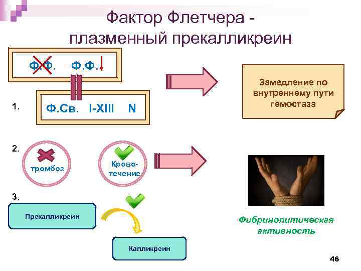 Фактор Флетчера - плазменный прекалликреин Ф. Ф. 1. Ф. Ф. Св. I-XIII N Замедление