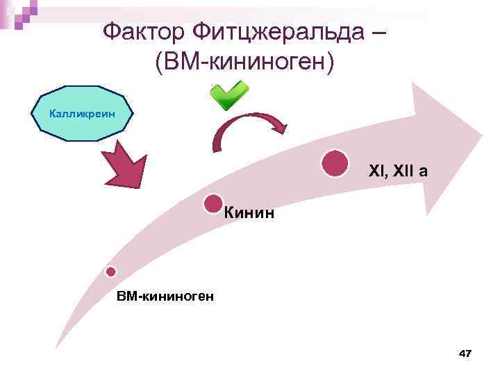 Фактор Фитцжеральда – (ВМ-кининоген) Калликреин XI, XII а Кинин ВМ-кининоген 47 